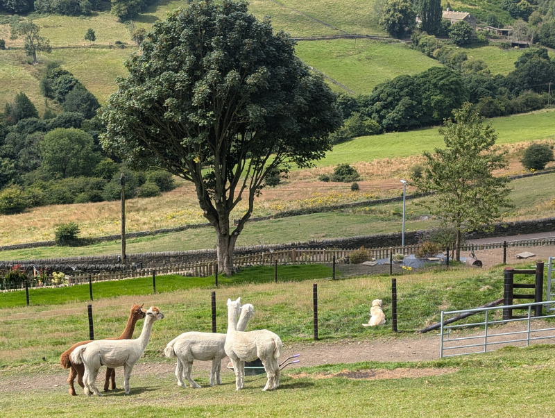 office lobby interior